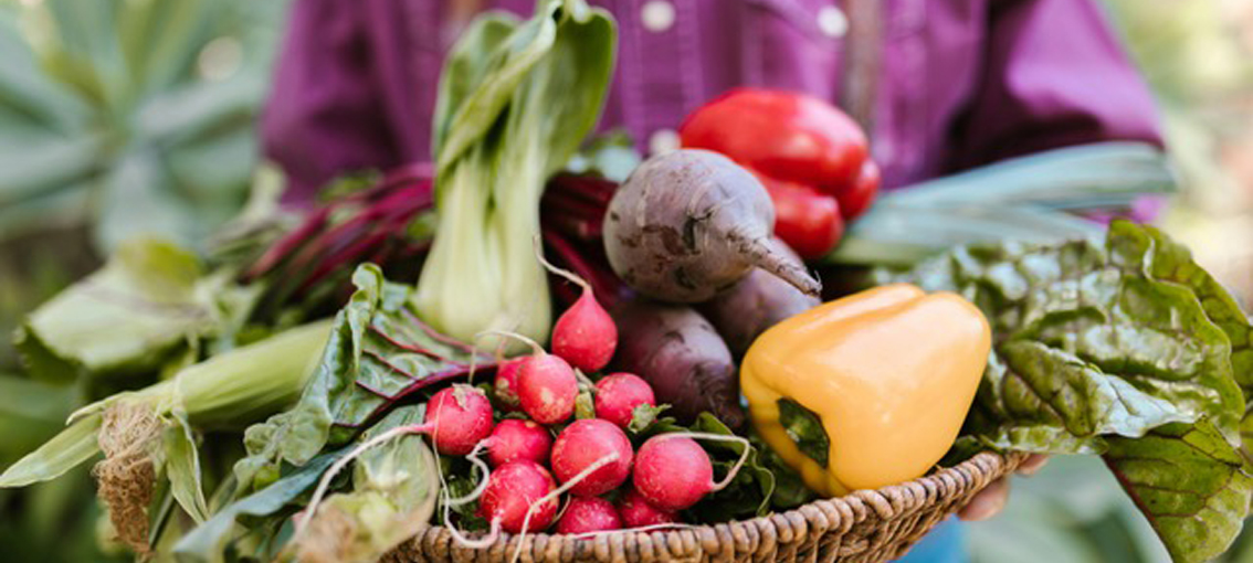 Ernährungstherapie