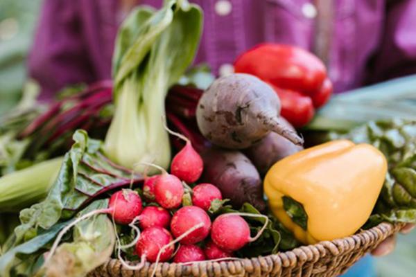 Ernährungstherapie